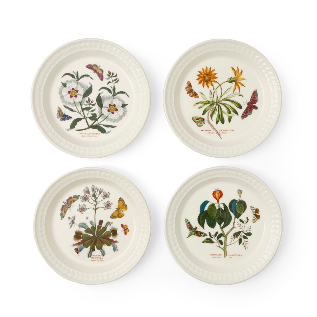 Botanic Garden Papilio set of 4 Side Plates image number null